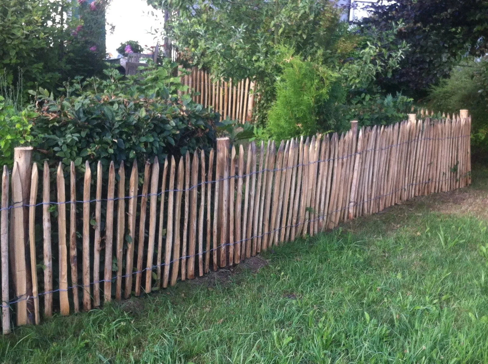 Staketenzaun aus Edelkastanie als gerader Gartenzaun mit gespitzten Pfählen